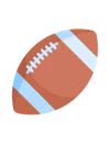 Reddy Anna Rugby Online betting