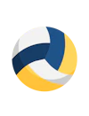 Reddy Anna Volley Ball Betting Online
