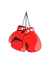 Reddy Anna Boxing Betting